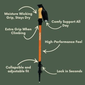 Outsura Carbon Fiber Hiking Poles (Pair of 2) – Professional Grade