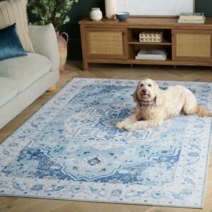 SAFAVIEH Arizona Thames Oriental Machine Washable Area Rug, Light Blue/Blue, 5' x 7'