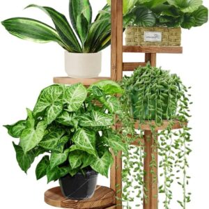 GEEBOBO 5 Tiered Tall Plant Stand for Indoor, Wood Plant Shelf Corner Display Rack
