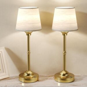 CHLORANTHUS 2 Pack Cordless Table Lamps