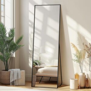 Delma Wall Full Length Mirror