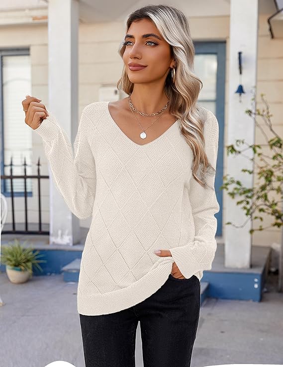 Zeagoo Womens Sweaters Fall 2026 Long Sleeve Knit Pullover V Neck