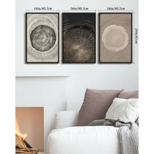 Drsoum 16x24in3pcs Black Framed Vintage Wood Tree Rings Wall Decor