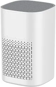 Air Purifier with Aromatherapy Function