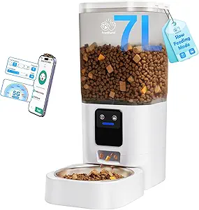 Automatic Cat Feeder