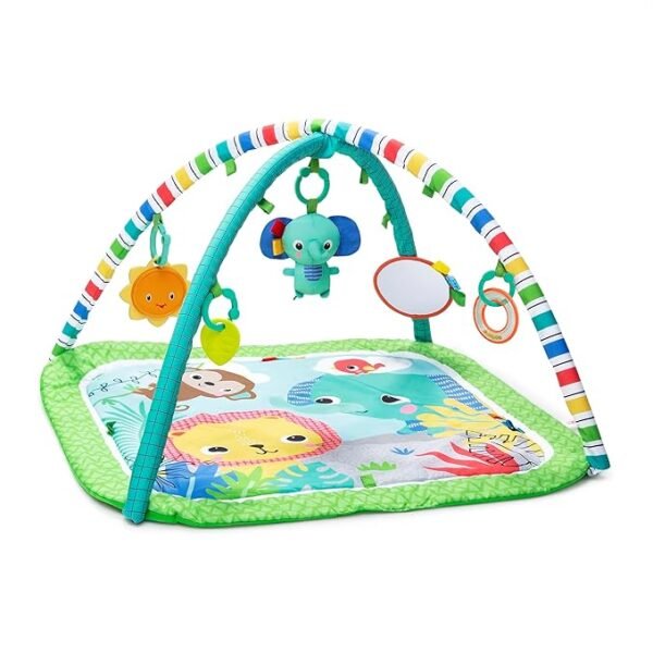 Bright Starts Wild Wiggles Baby Activity Gym