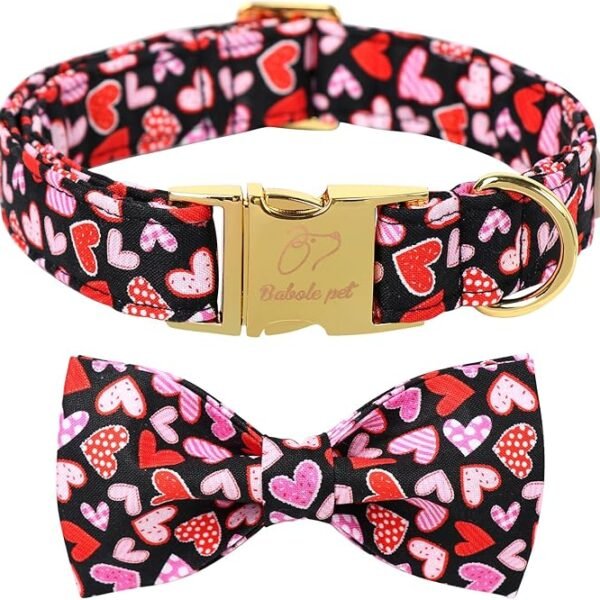Valentines Dog Collar with Bow Tie