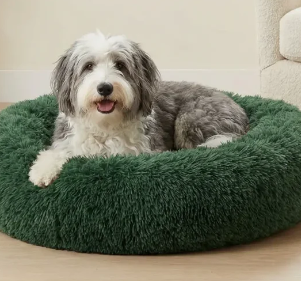 SPOIL YOUR PUP ALERT! Choose ANY dog bed you want PLUS get 2 toys & 2 treats in your box