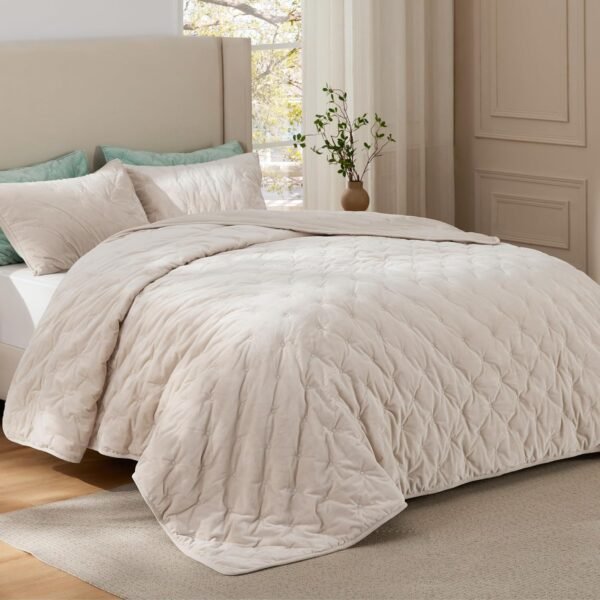 Bedsure Velvet Fleece Comforter Set Queen