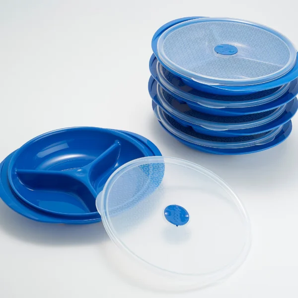 QVC! Decor Set of 5 Segmented Microwave Plates