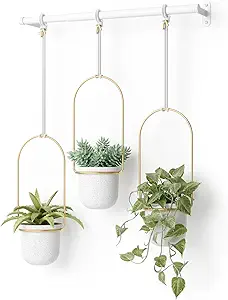 Umbra Triflora Hanging Planter for Window