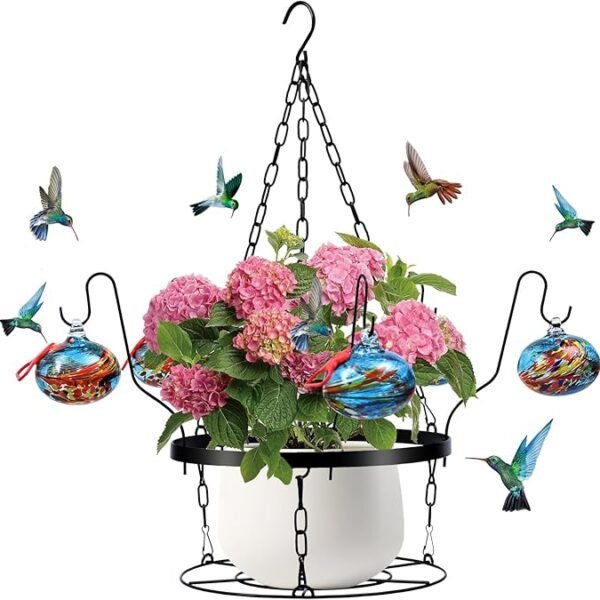 Hand Blown Glass Hummingbird Feeders