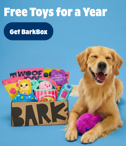 Bark Box FREE TOYS ALL YEAR?! YES PLEASE!!