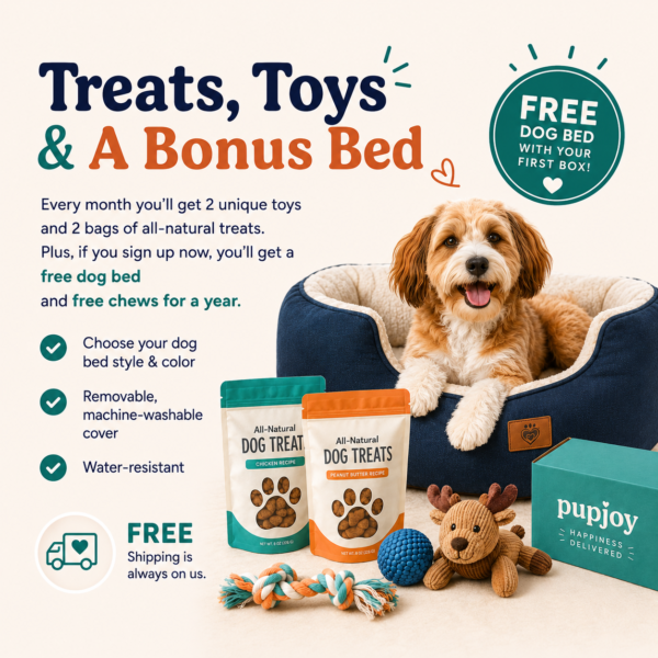 Spoil your pup with treats, toys & a BONUS bed!