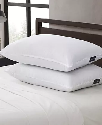 Macy Eddie Bauer 2-Pack Pillow, Jumbo $13.99