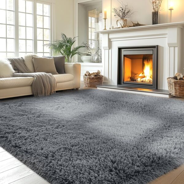 Fluffy Area Rug Living Room