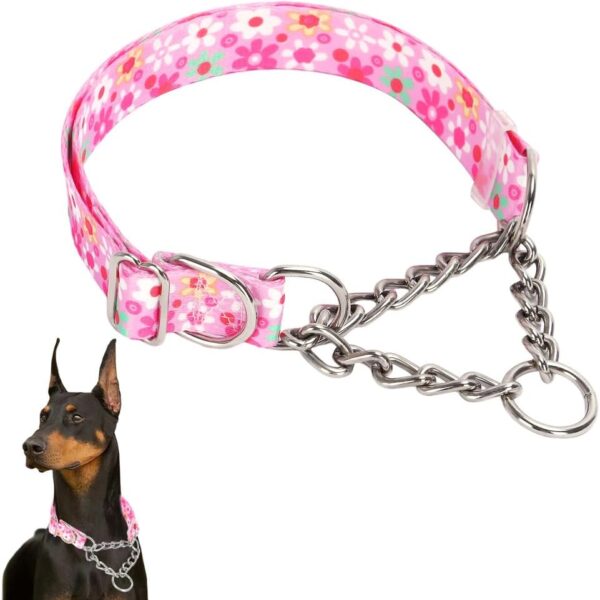 Martingale Collar for Dogs
