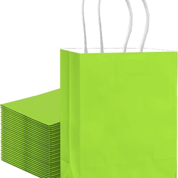 qiqee 30PCS Medium Gift Bag with Handles