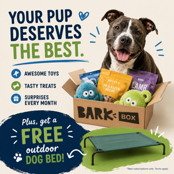 Bark Box -- Treat Your Pup to Something Special