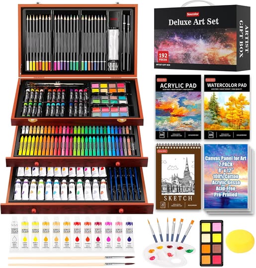 192-Piece Deluxe Art Supplies Drawing & Painting Kit