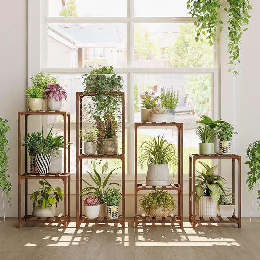 Wooden Plant Stand Shelf for Multiple Plants