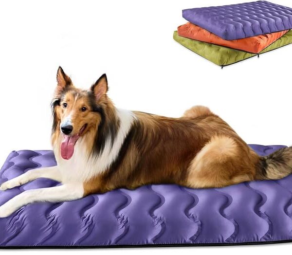 Washable Cooling Memory Foam Dog Bed
