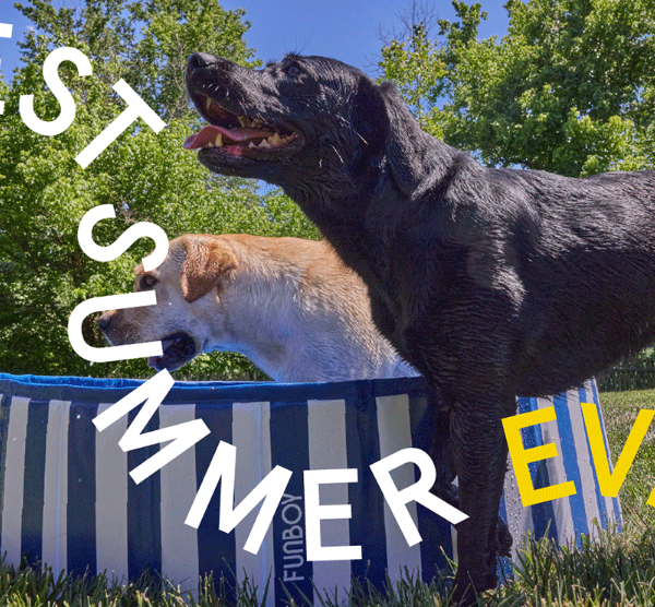 FREE Funboy dog pool or splash pad with your first box Bark Box