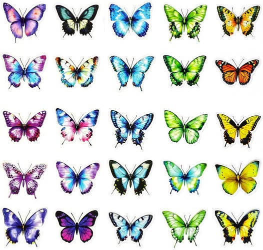 56-Piece Colorful Butterfly Stickers