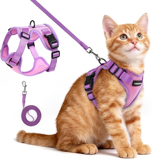 Cat Harness and Leash Set