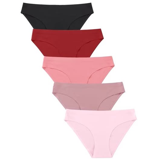 Finetoo 5-Pack Seamless Bikini Underwear
