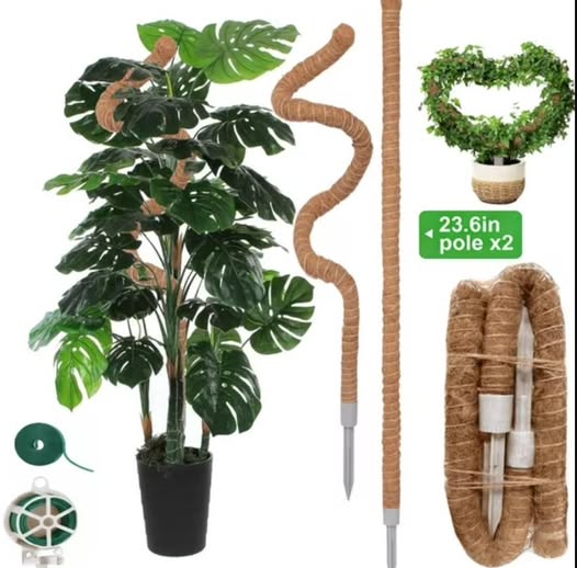 Moss Pole for Climbing Plants