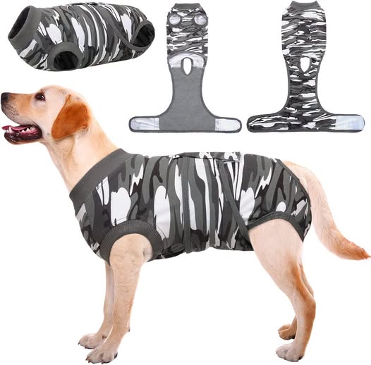 Recovery Suit for Dogs and Cats