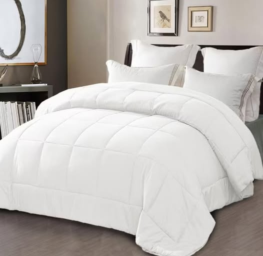 Exclusivo Mezcla Queen Comforter Set