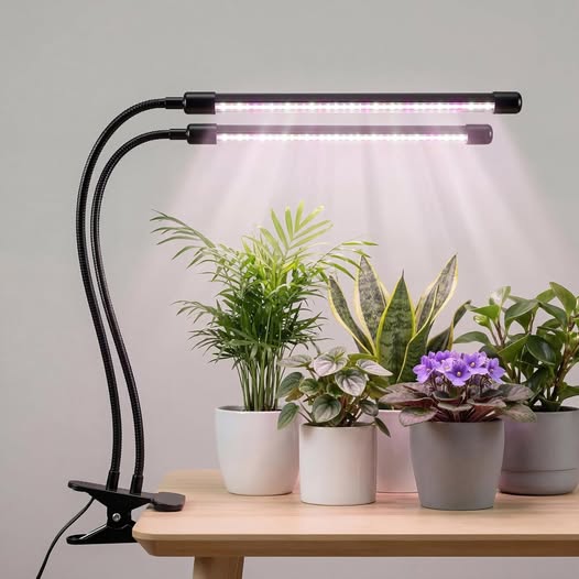 Full-Spectrum LED Grow Light for Indoor Plants with Timer & Dimming