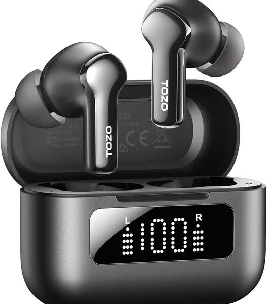 Hybrid Active Noise Cancelling in Ear Wireless Earbuds