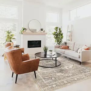 Washable Area Rugs 5x7 for Living Room