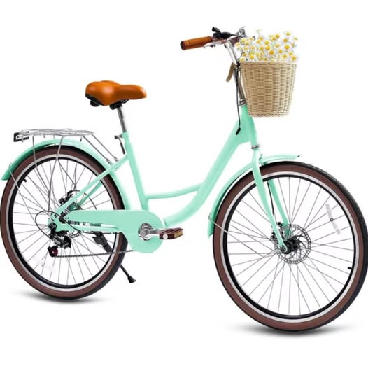 24-Inch Women's 7-Speed Beach Cruiser Bike with Rattan Basket