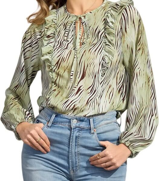 50% 0FF Women's Chiffon Tie V-Neck Floral Boho Blouse